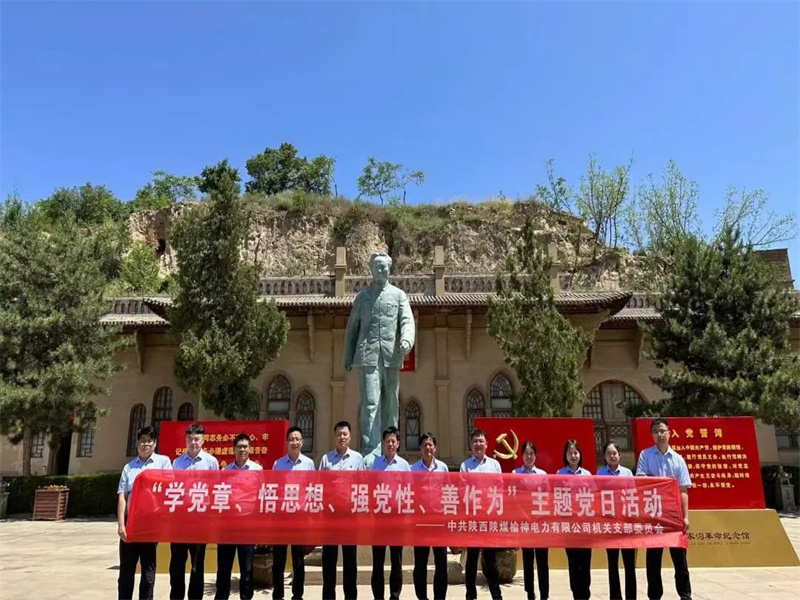 榆神電力公司開展“學黨章、悟思想、強黨性、善作為”主題黨日活動.jpg