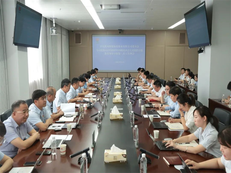 公司召開學(xué)習(xí)貫徹習(xí)近平新時(shí)代中國(guó)特色社會(huì)主義思想主題教育第三次工作例會(huì).jpg