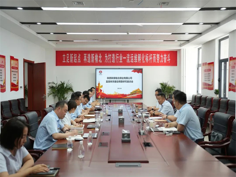 公司領(lǐng)導(dǎo)班子成員到所屬單位開展專題調(diào)研（2）.jpg