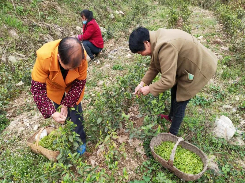榮譽(yù)丨公司在2022年度省級(jí)定點(diǎn)幫扶考核中獲多項(xiàng)榮譽(yù)（3）.jpg